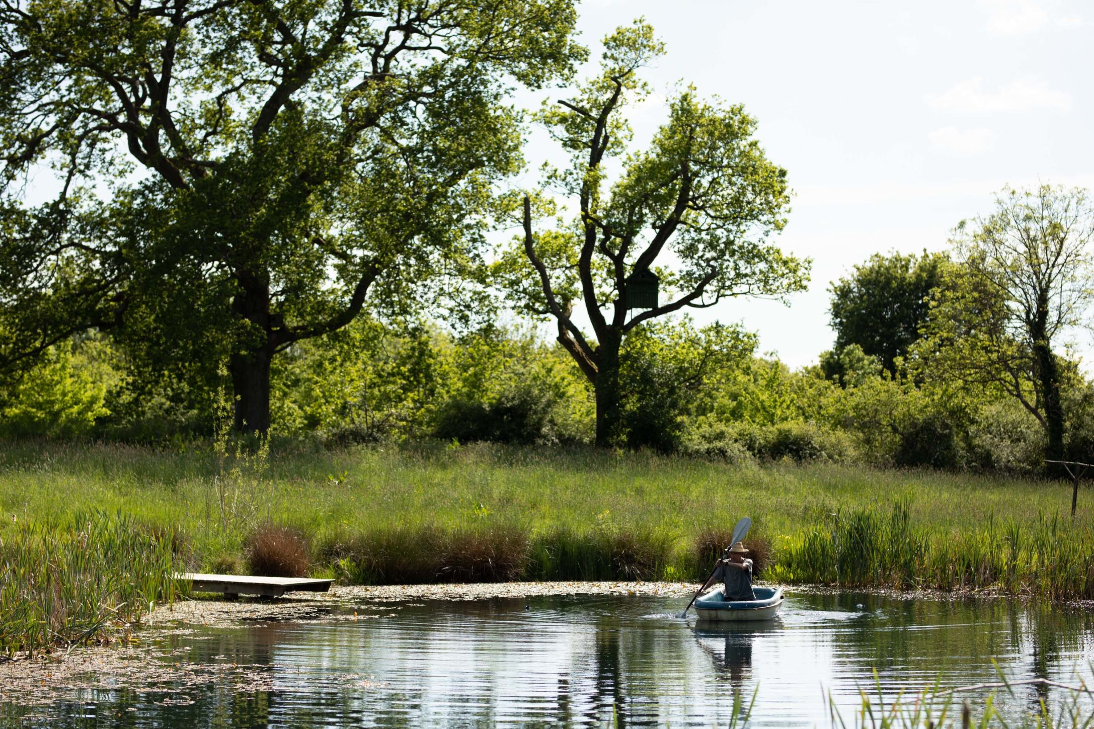 Rewilding Project Rewilding